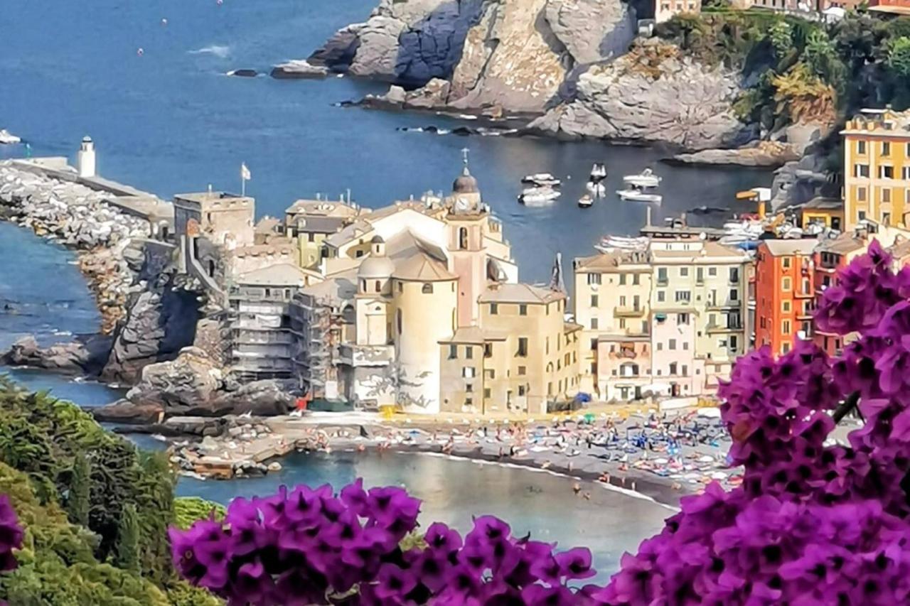 Rosablu Vacanza Tra Mare E Parco Di Portofino Камольї Екстер'єр фото