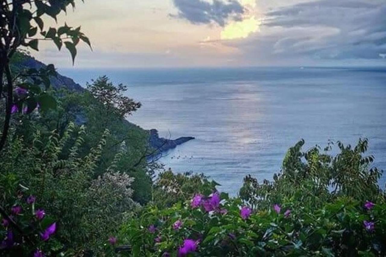 Rosablu Vacanza Tra Mare E Parco Di Portofino Камольї Екстер'єр фото