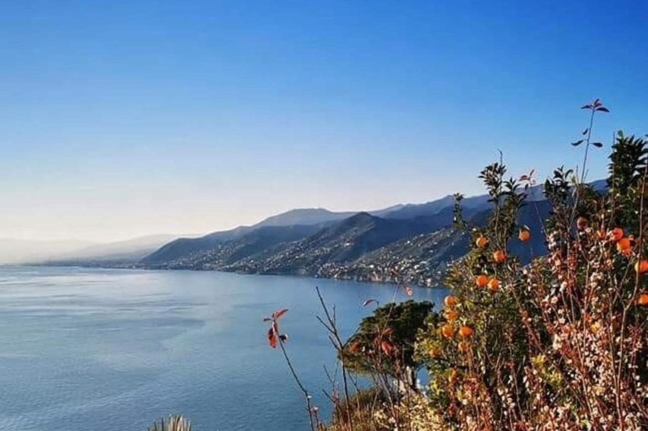 Rosablu Vacanza Tra Mare E Parco Di Portofino Камольї Екстер'єр фото